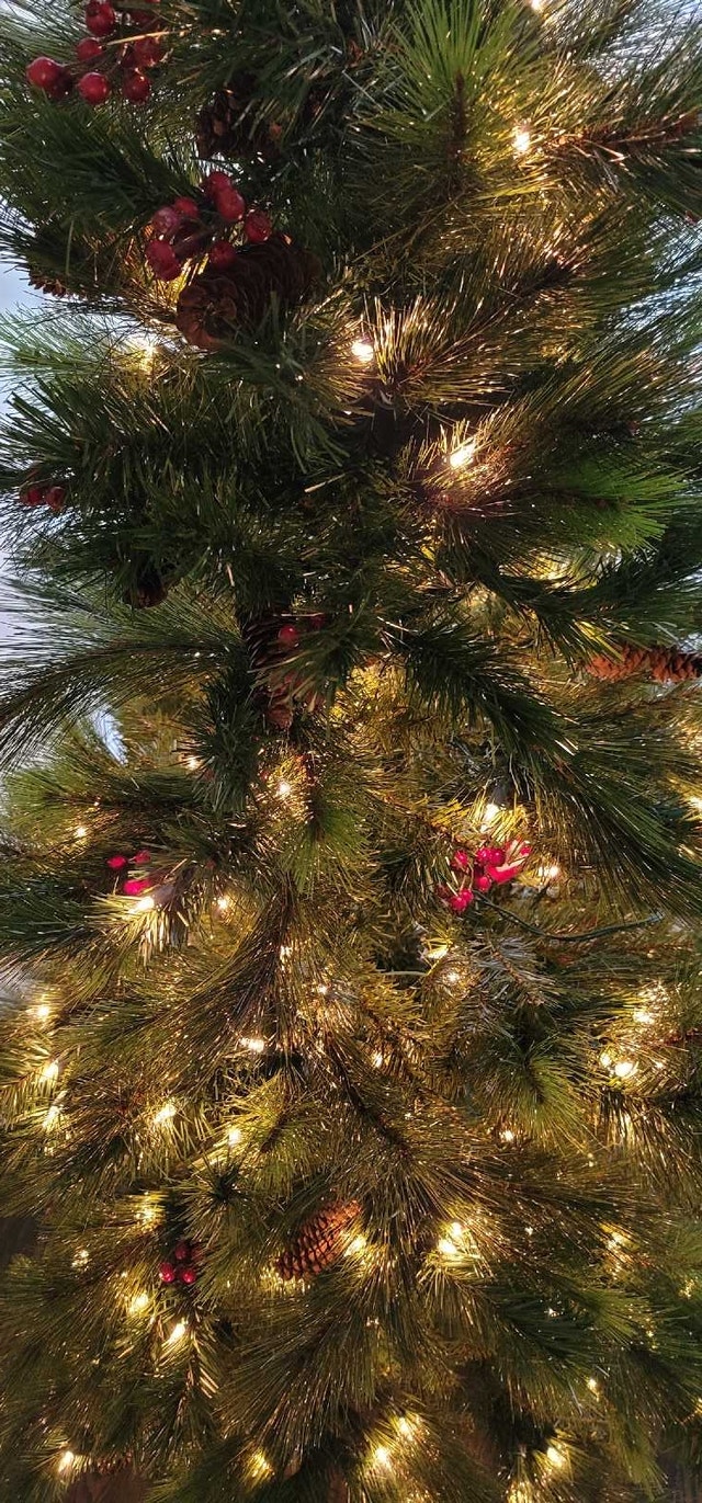 Christmas Tree (7') - photo 3