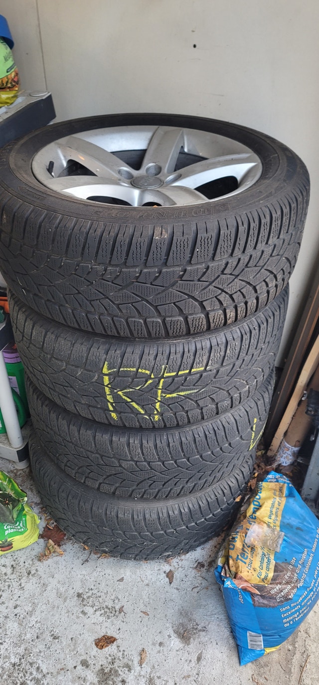 Winter Tires (Dunlop)