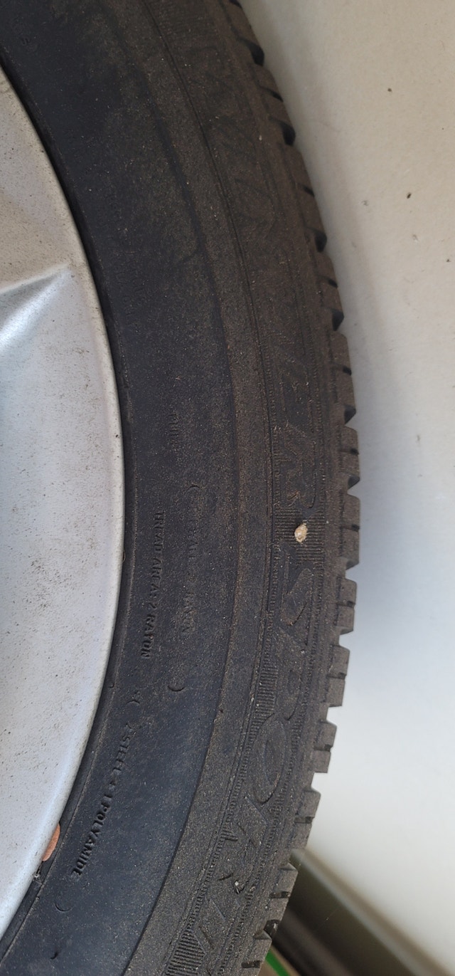 Winter Tires (Dunlop) - photo 5