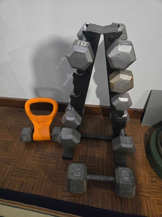 Cast Iron Dumbbell Set with Rack