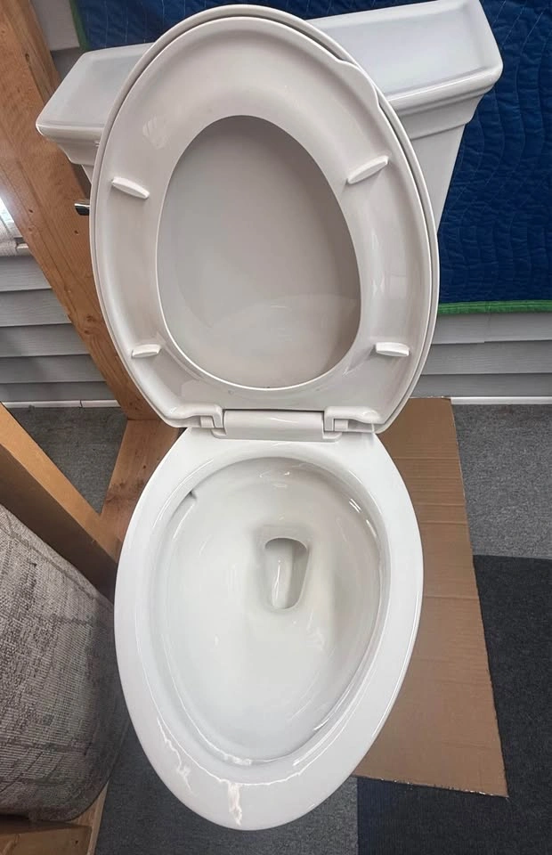 Optum VorMax One-Piece Toilet - photo 4