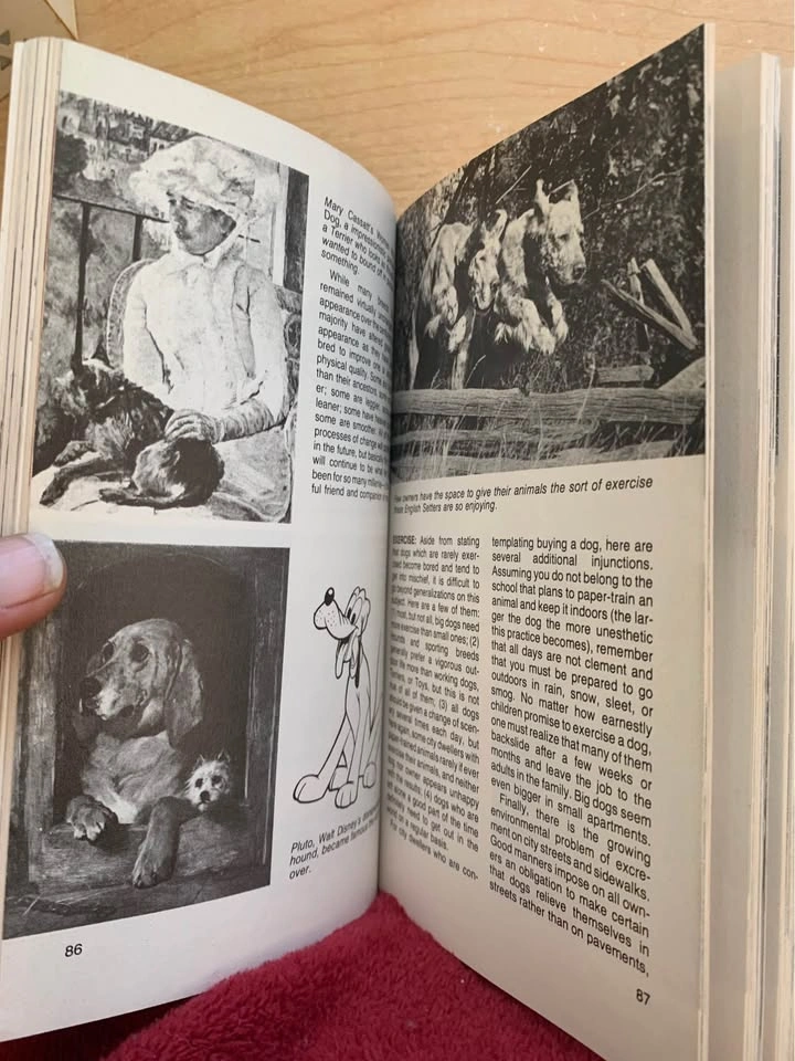 Vintage Dell Encyclopedia of Dogs Book - photo 3