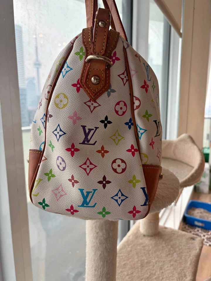 🚨 RARE Louis Vuitton x Takashi Murakami Speedy