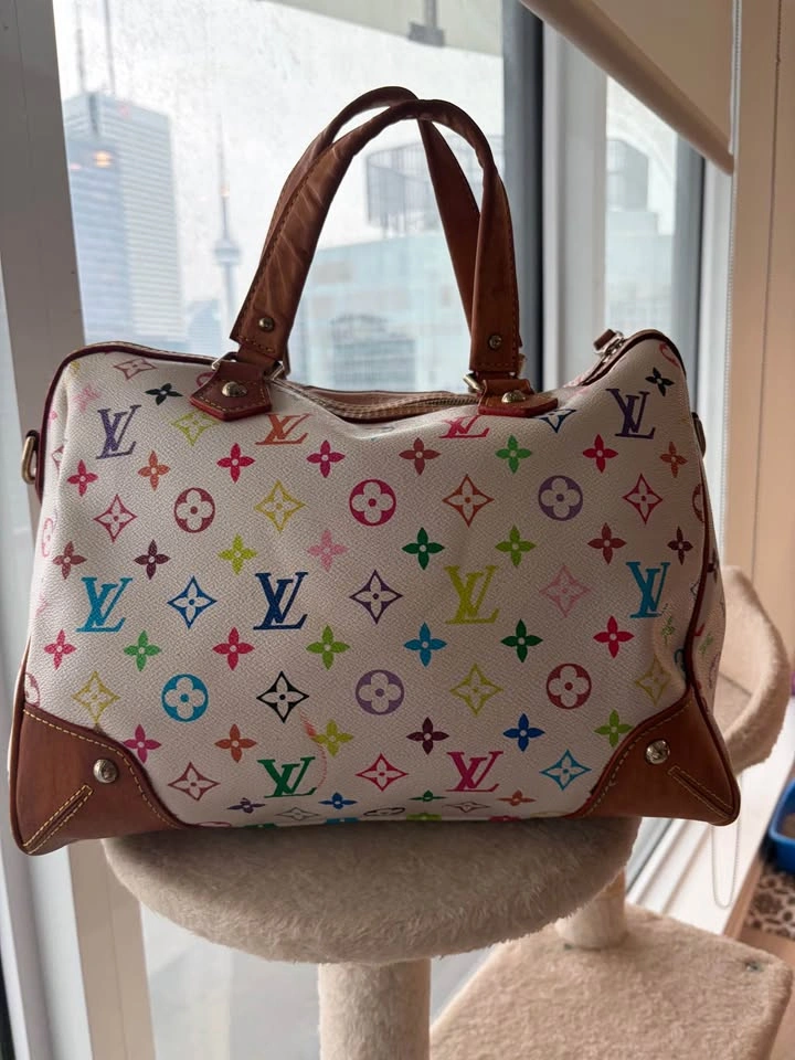 🚨 RARE Louis Vuitton x Takashi Murakami Speedy - photo 2