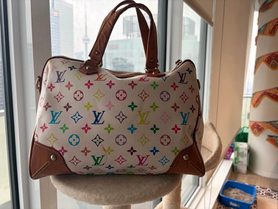 🚨 RARE Louis Vuitton x Takashi Murakami Speedy - photo 3