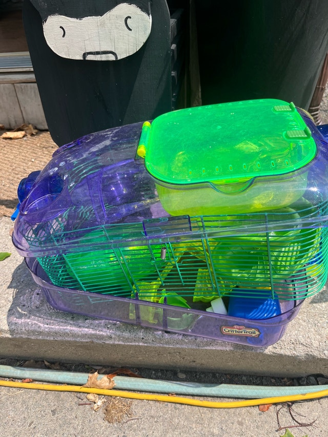 hamster cage