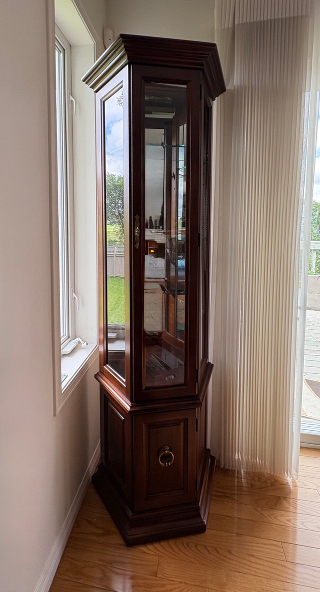 Mirrored curio cabinets with lighting (2 available)