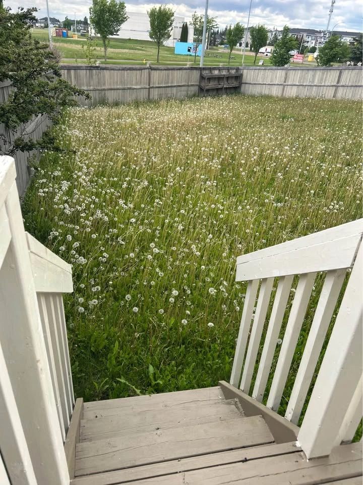 3 Beds 2 Baths - House - photo 3