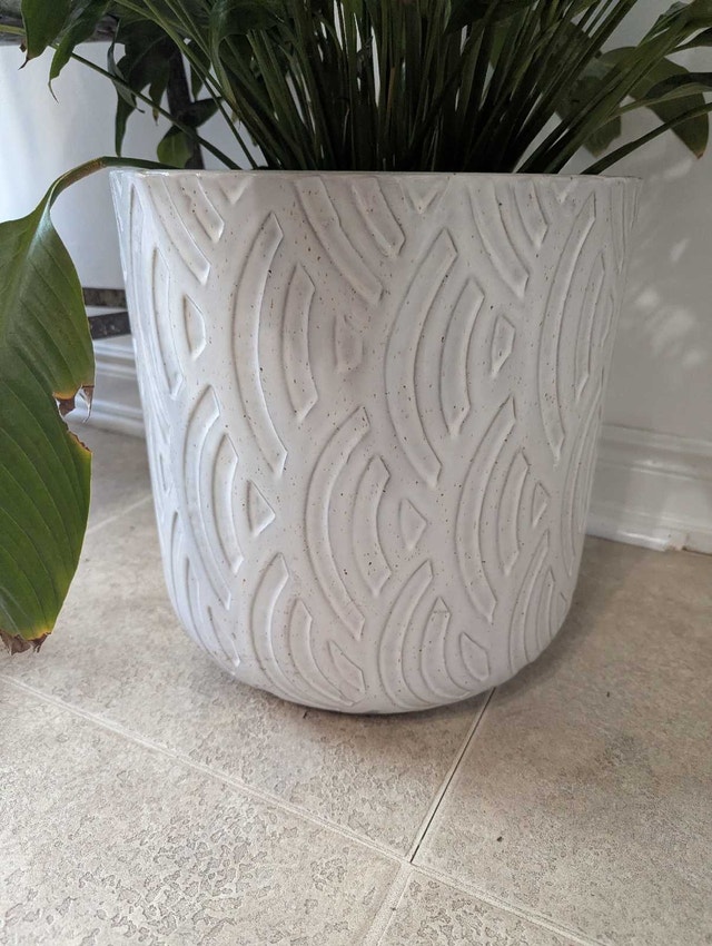 Peace Lily in Decorative Ceramic Pot - photo 3