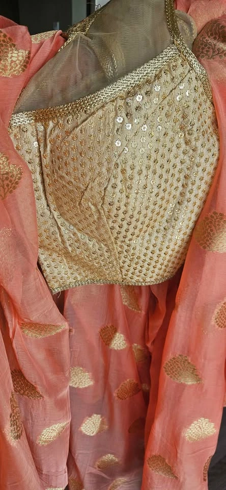 Peach and Gold Sequin Saree Set - photo 3