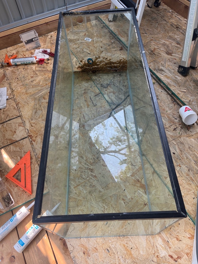 70 gallon aquarium