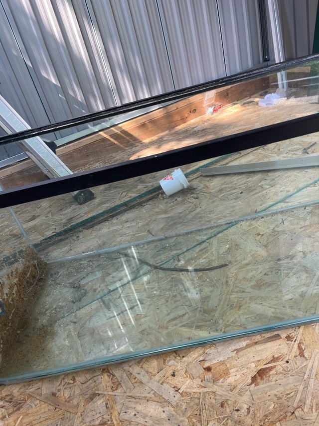70 gallon aquarium - photo 2