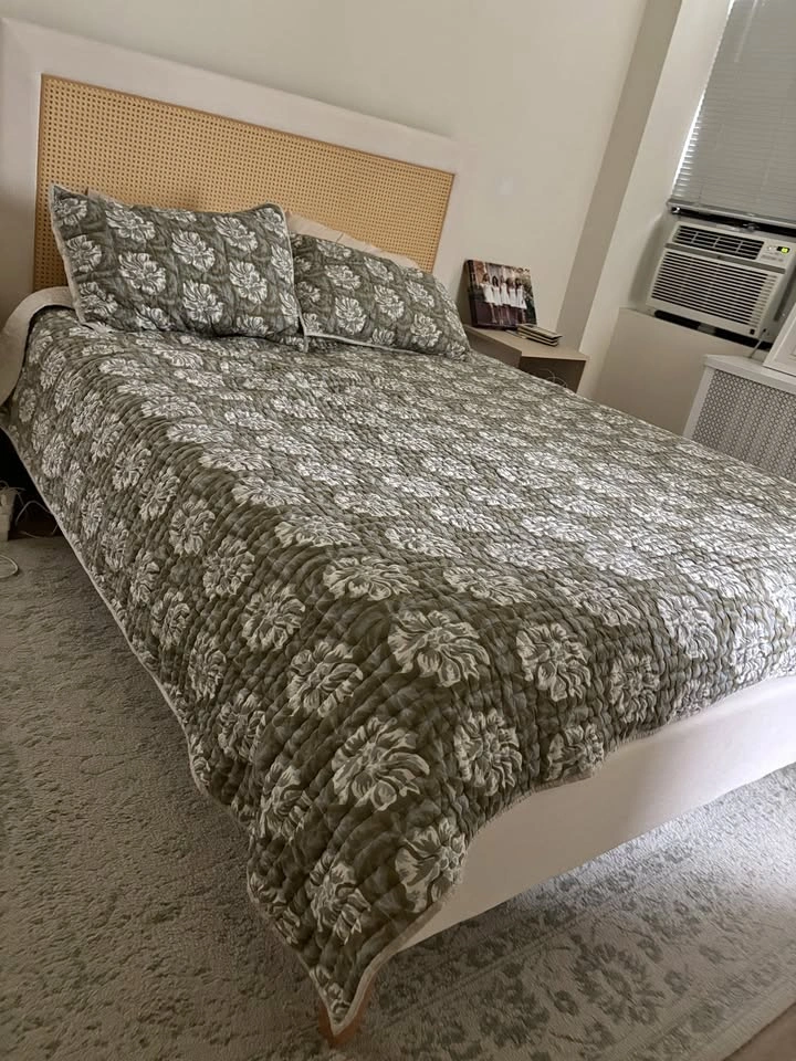 Haley Upholstered Cane-Back Platform Bed, Queen, Snow White