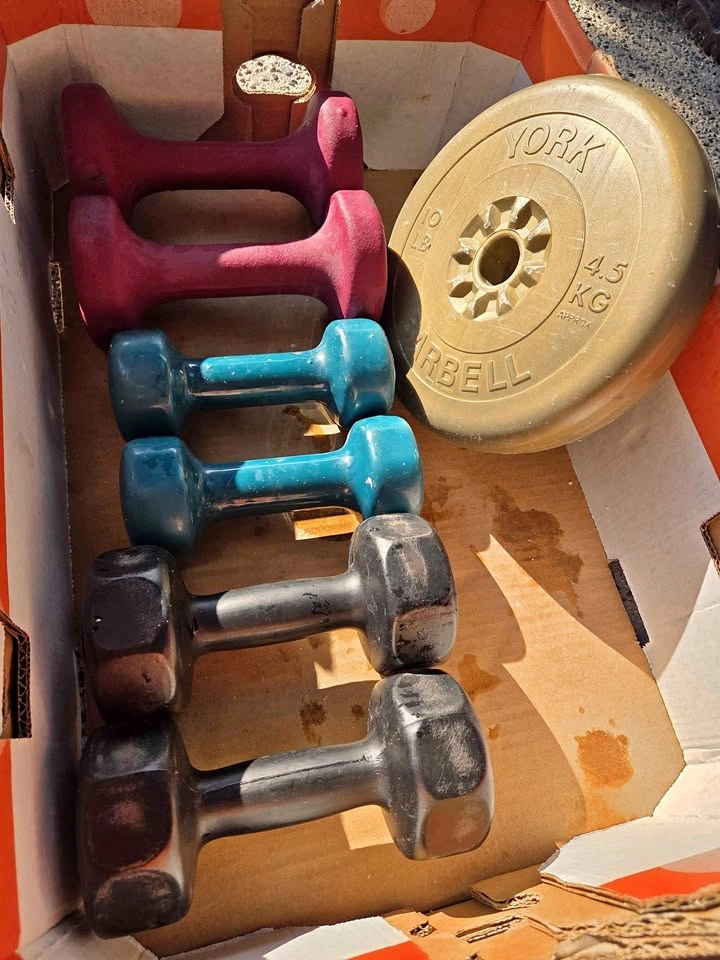 Assorted Weight Set - Dumbbells & York 10lb Plate