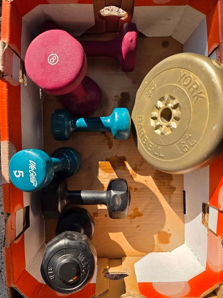 Assorted Weight Set - Dumbbells & York 10lb Plate - photo 2