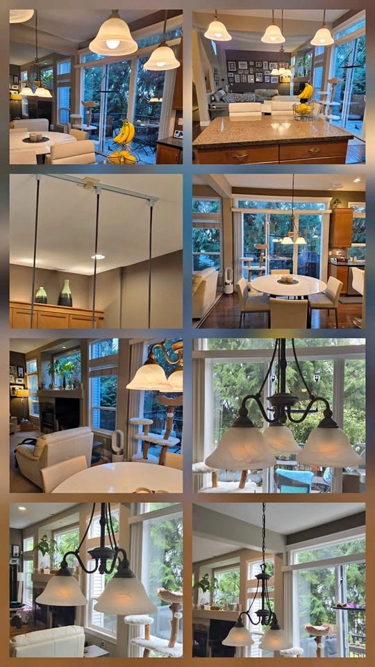 Hinkley Bolla Designer Lighting Duo: Chandelier & Track Pendants
