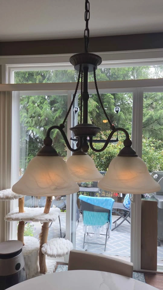 Hinkley Bolla Designer Lighting Duo: Chandelier & Track Pendants - photo 2