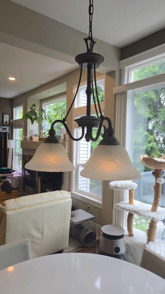 Hinkley Bolla Designer Lighting Duo: Chandelier & Track Pendants - photo 3