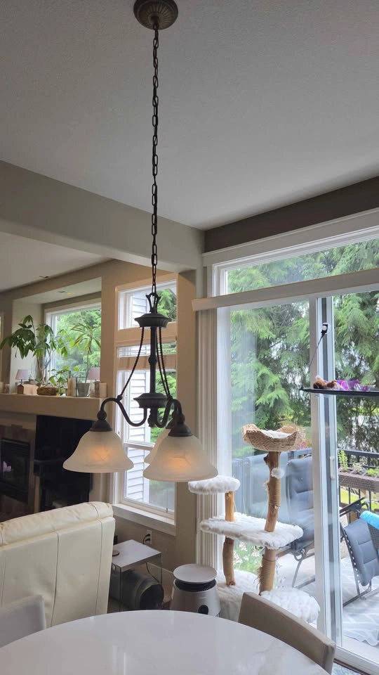 Hinkley Bolla Designer Lighting Duo: Chandelier & Track Pendants - photo 4