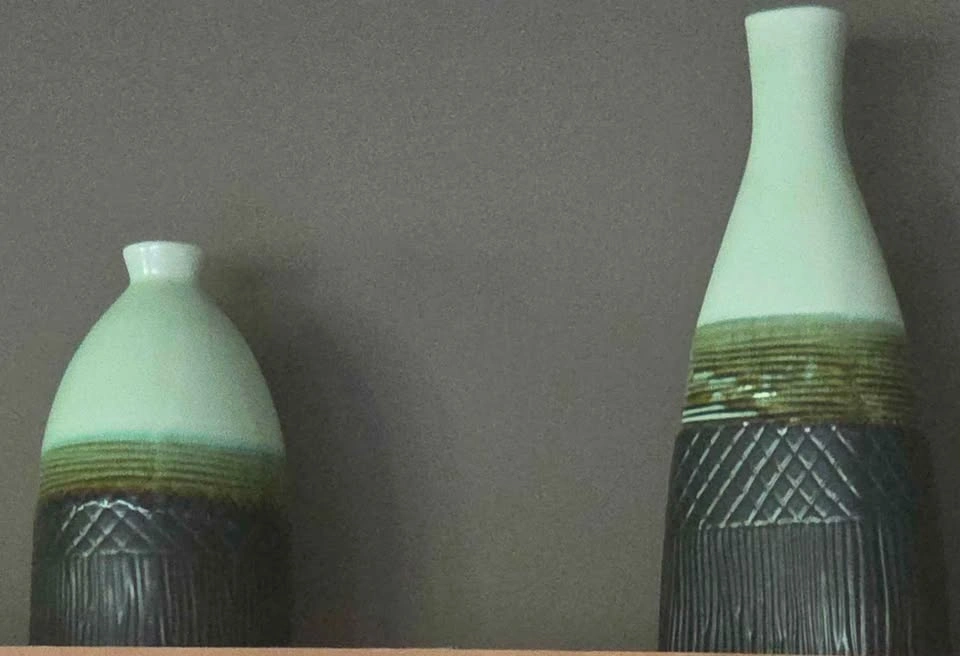 HomeSense Mid-Century Modern Ceramic Vase Set (2 Pcs) - photo 2