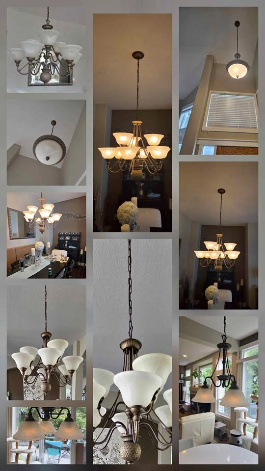 Hinkley Bolla Bronze 8-Piece Designer Lighting Collection