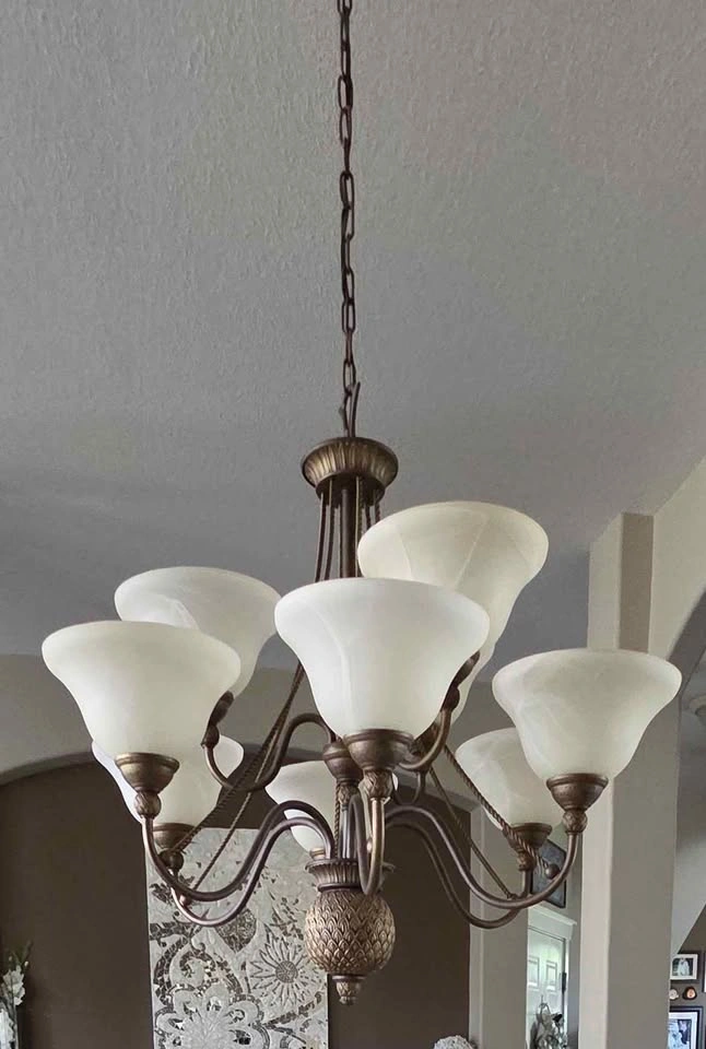 Hinkley Bolla Bronze 8-Piece Designer Lighting Collection - photo 2