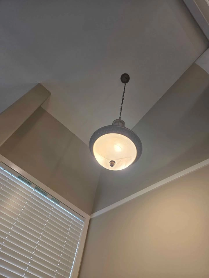 Hinkley Bolla Bronze 8-Piece Designer Lighting Collection - photo 4
