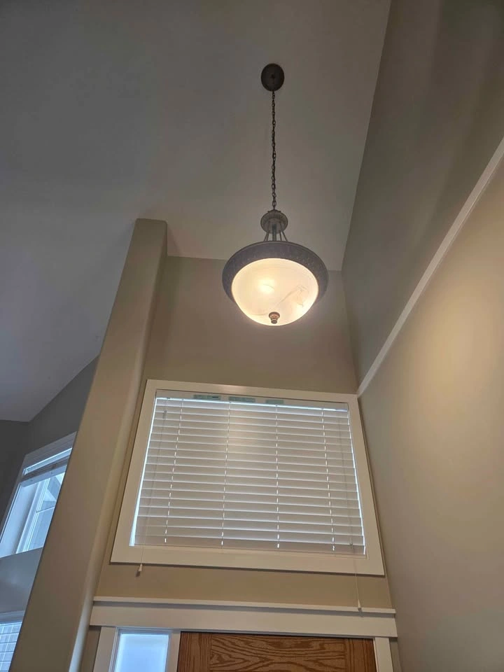 Hinkley Bolla Bronze 8-Piece Designer Lighting Collection - photo 5