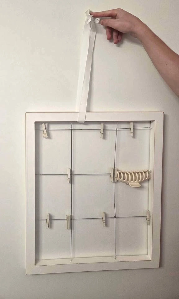 White Wooden Photo Display Frame with Clips