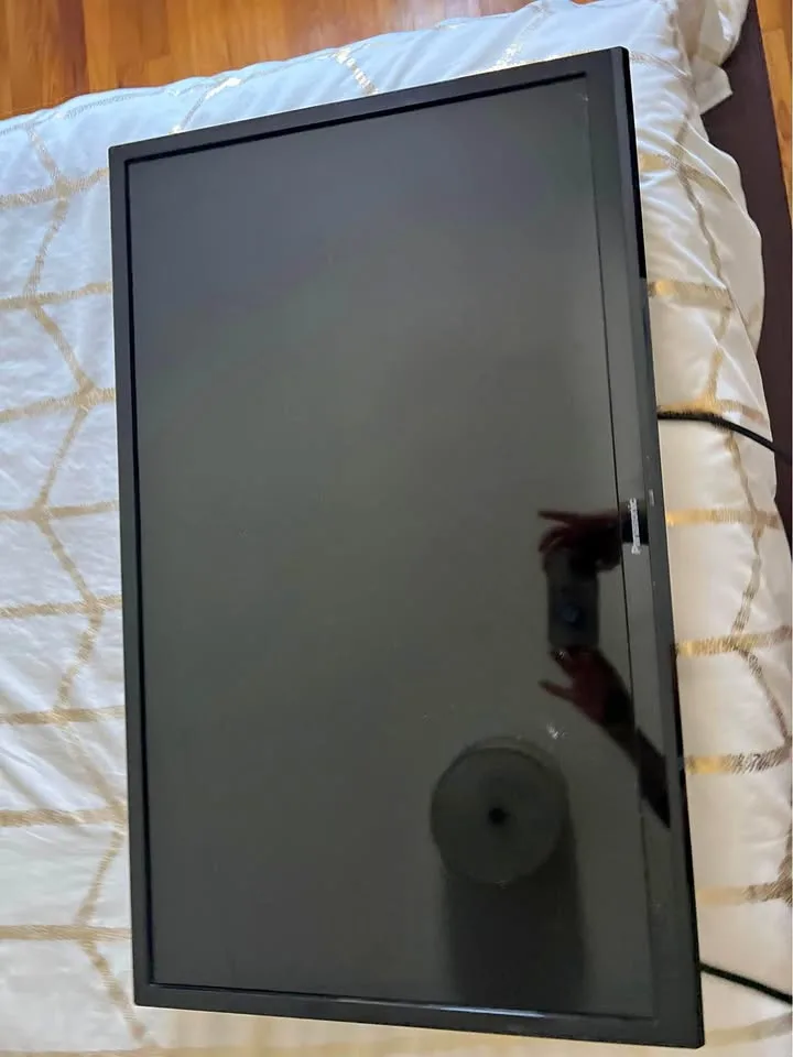 Panasonic Flat Screen Tv