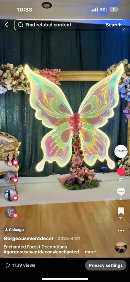 Big LED Butterfly for Sale