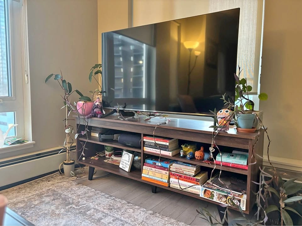 TV Console