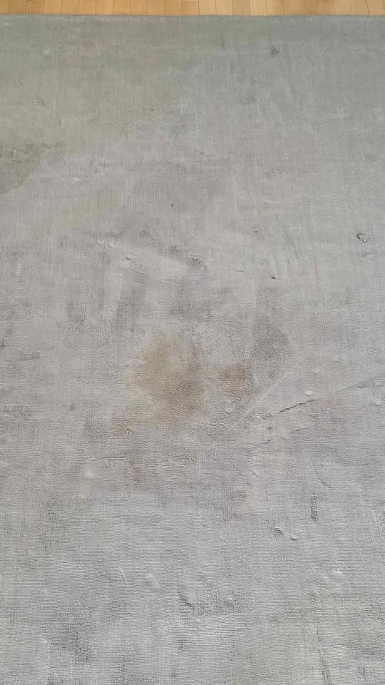 8x10 Light Gray Velvet Soft Rug - photo 2