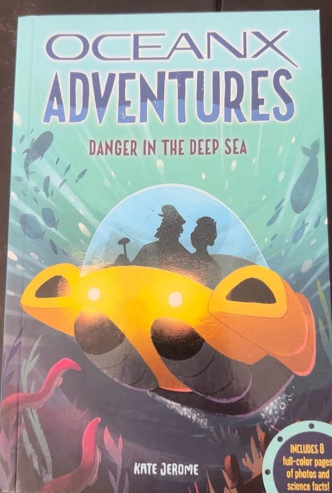 Kids Chapter books & graphic novel - photo 4