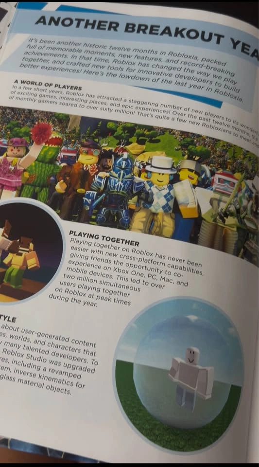 Roblox and Minecraft books - photo 3