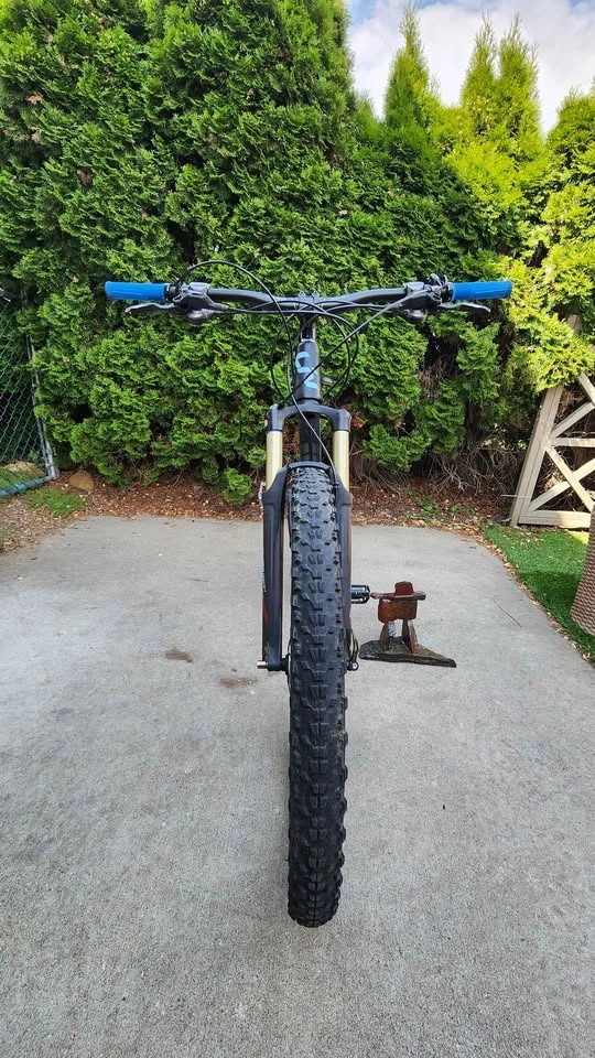 2018 Liv Embolden 2 Mountain Bike - photo 4