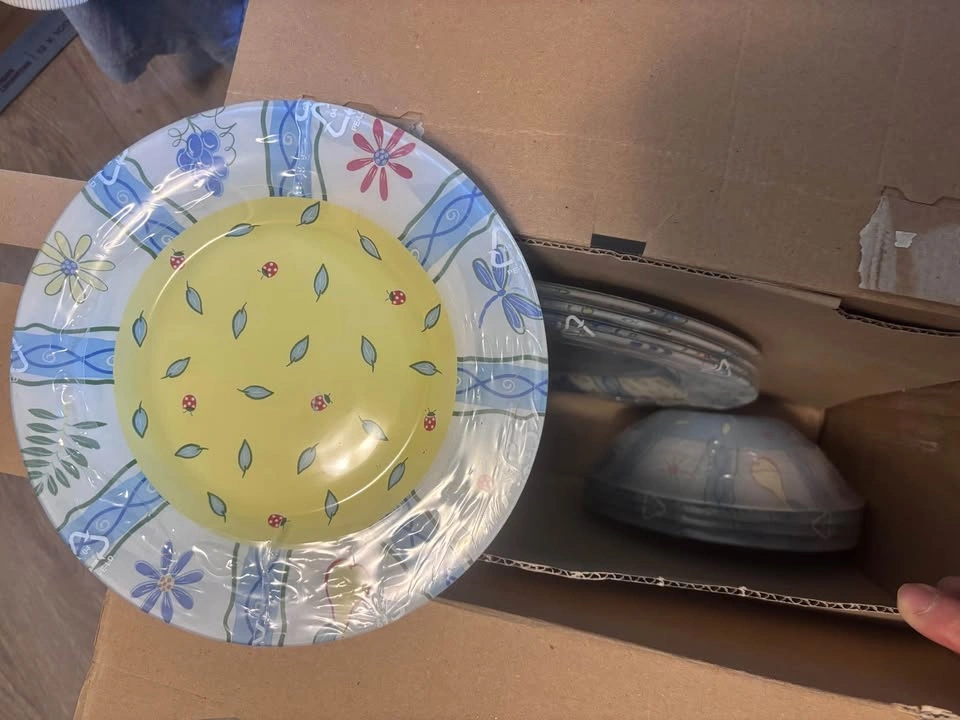 Luminarc Chic & Fun 16-Piece Dinnerware Set Made in France - photo 4