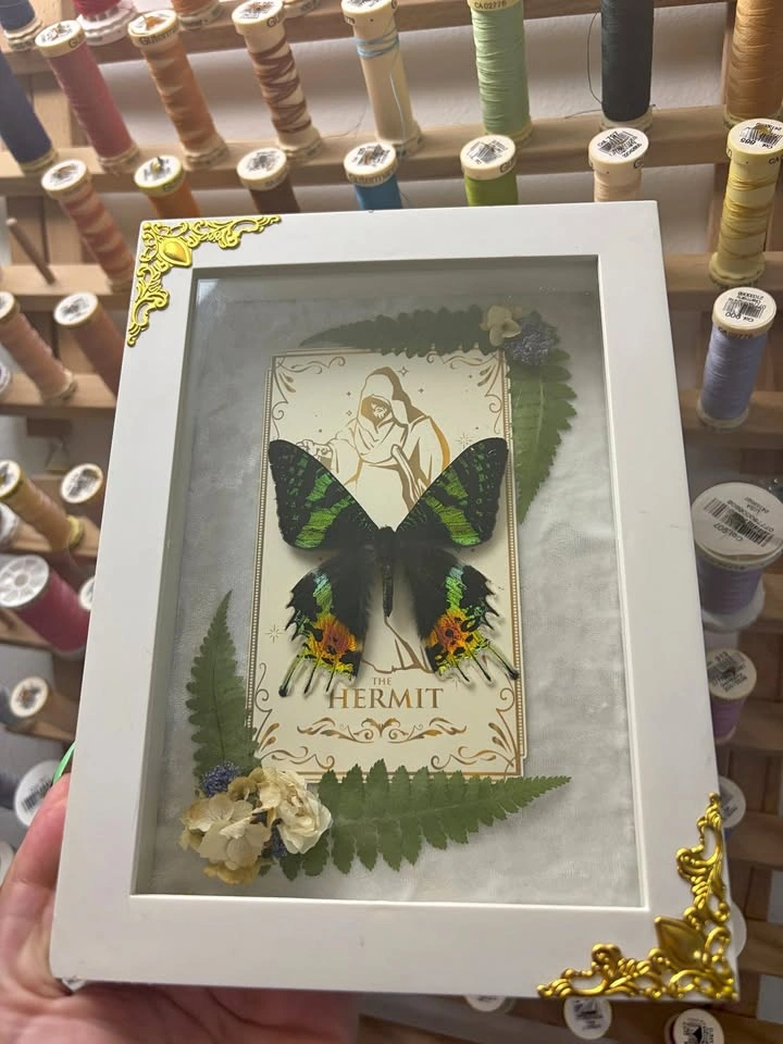 Sunset Moth Frame with Tarot card and Dried flowers