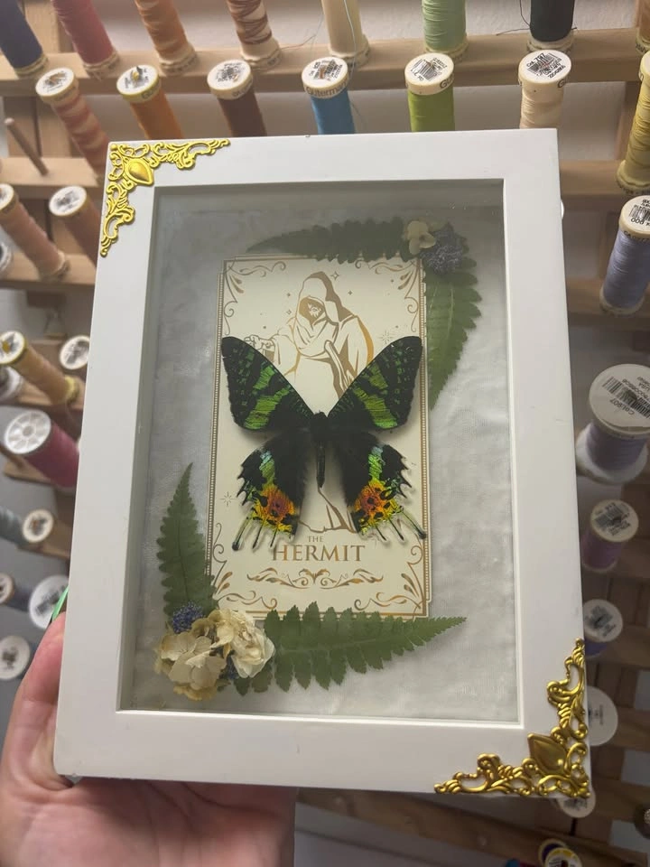 Sunset Moth Frame with Tarot card and Dried flowers - photo 2