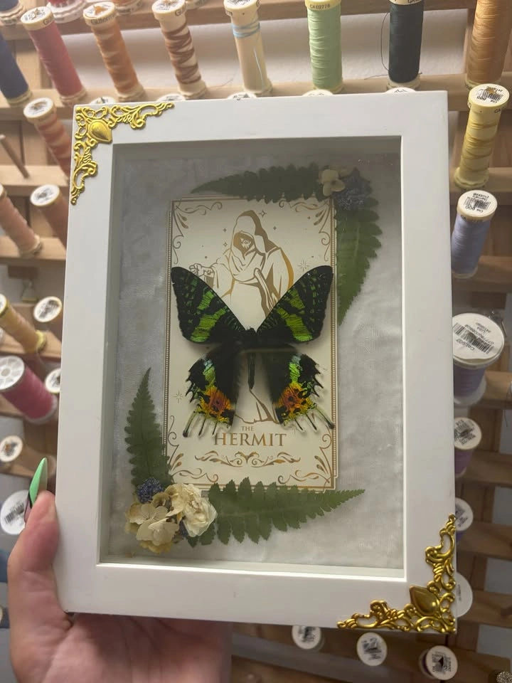 Sunset Moth Frame with Tarot card and Dried flowers - photo 3