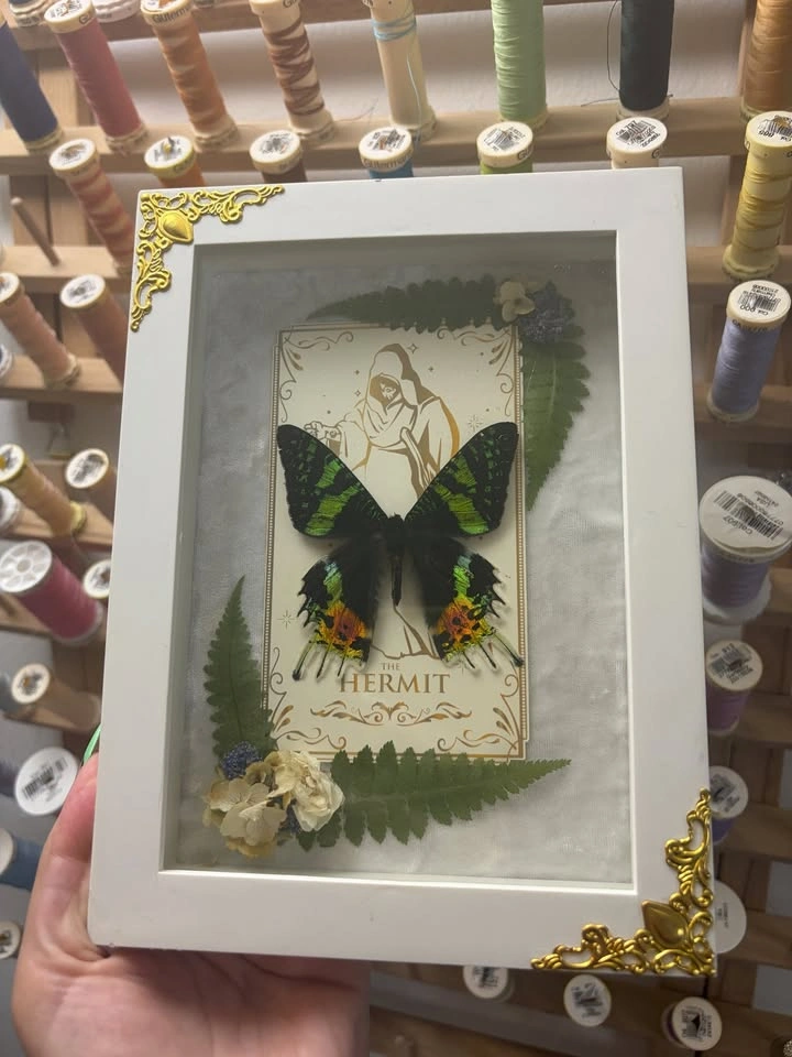 Sunset Moth Frame with Tarot card and Dried flowers - photo 4