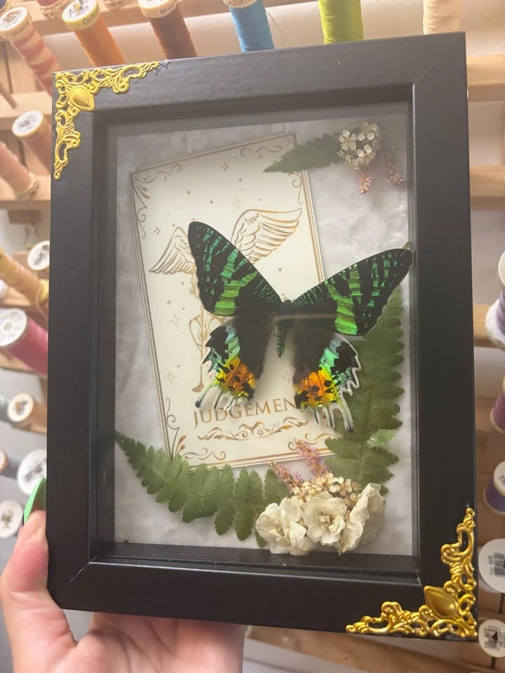 Sunset Moth Frame with Tarot card and Dried flowers - photo 2