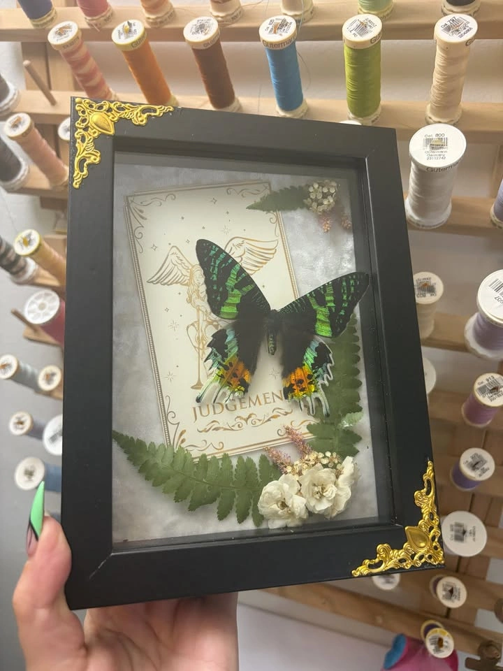 Sunset Moth Frame with Tarot card and Dried flowers - photo 3