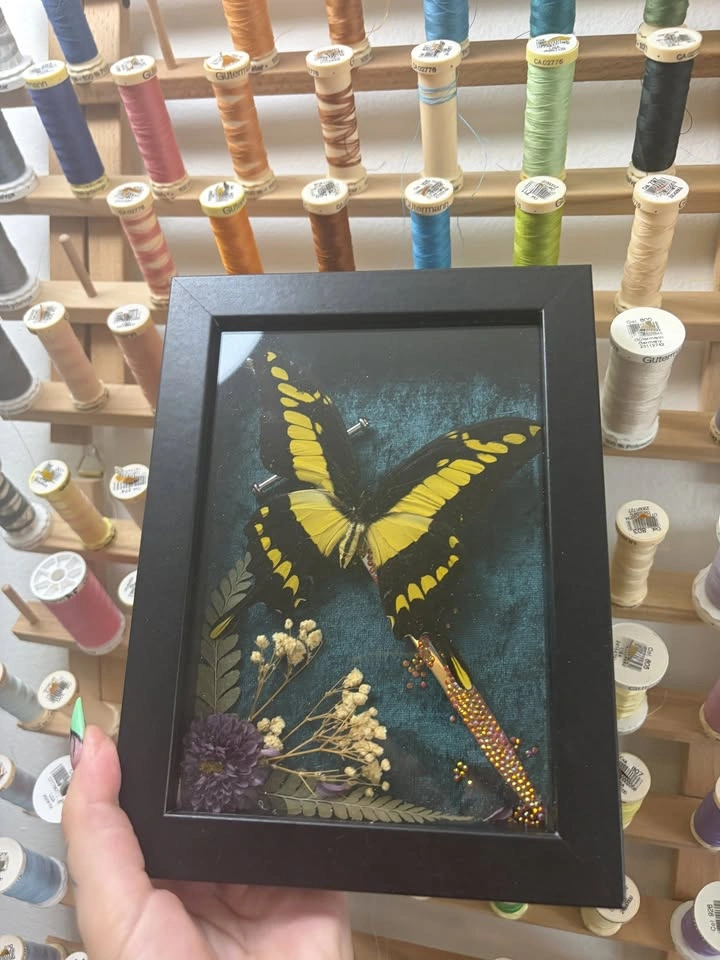 King Swallowtail frame with Rhinestoned Daggers - photo 2