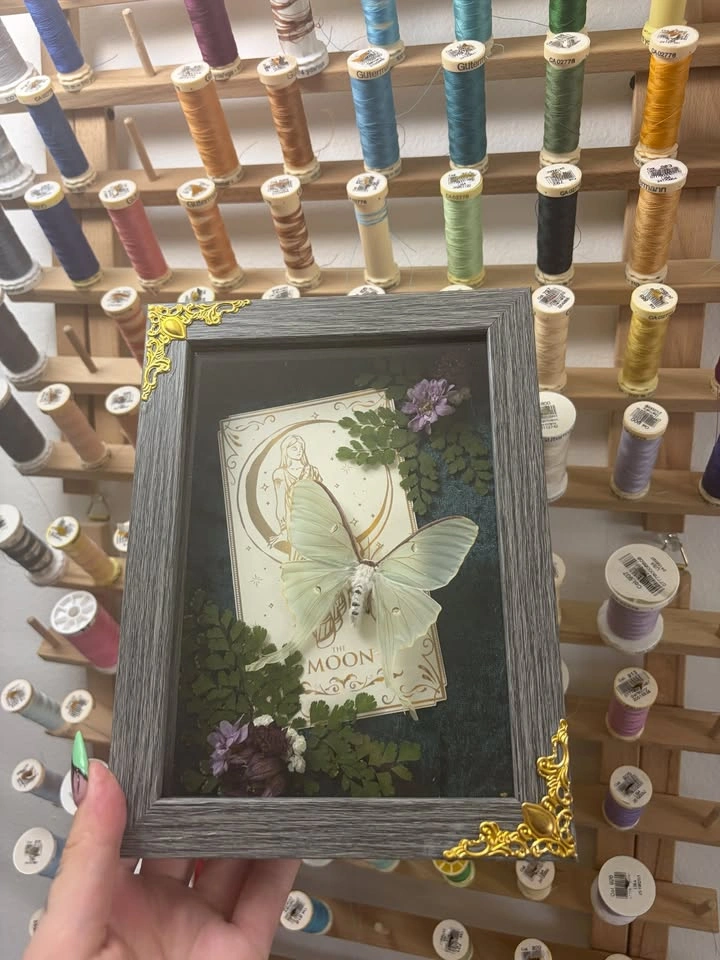 Luna Moth Frame with Tarot Card - photo 2