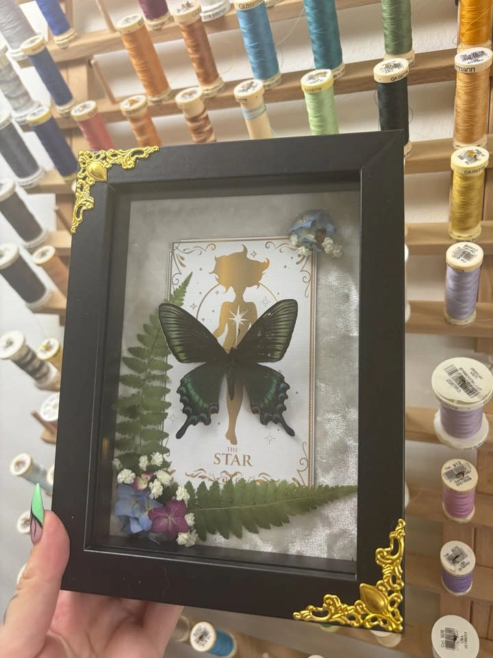Alpine Black Swallowtail Butterfly frame with Tarot Card - photo 3