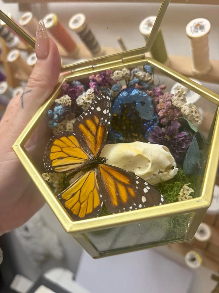 Butterfly and Crystal Terrarium with Mink Skull