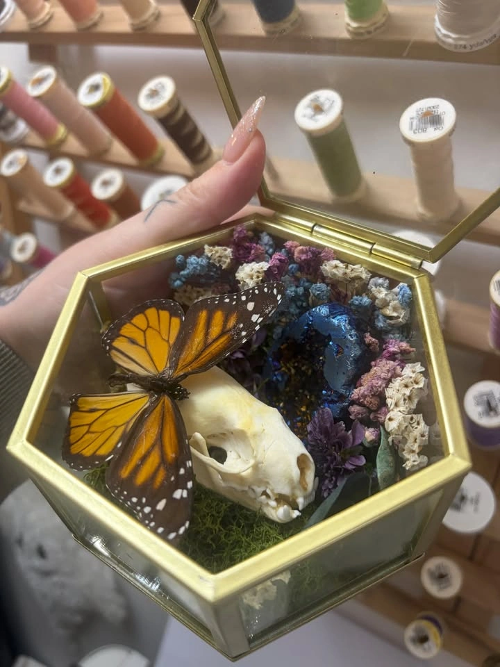 Butterfly and Crystal Terrarium with Mink Skull - photo 2