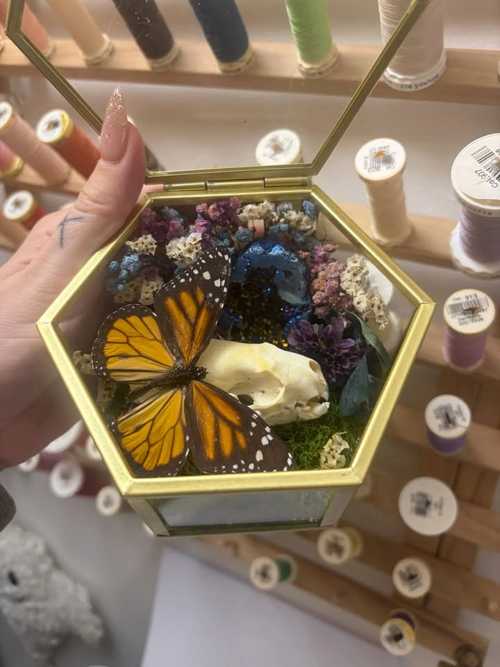 Butterfly and Crystal Terrarium with Mink Skull - photo 3