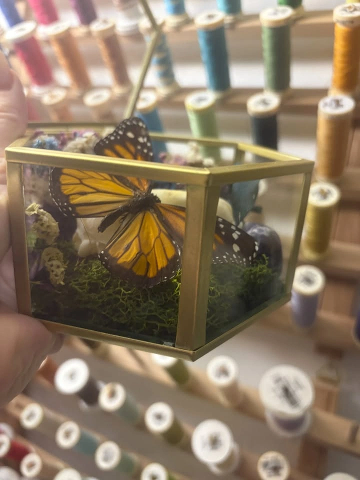 Butterfly and Crystal Terrarium with Mink Skull - photo 4